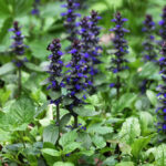 1000_F_434884059_lhHHEQW4zPM3B4lxGiVJwDMZLwRhIc8u