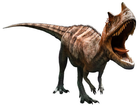 Ceratosaurus