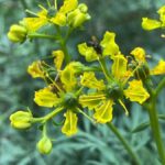 9dd113d990756a640b8d49f0412278af85b225dc-2