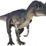 Allosaurus_database_image_from_Evolution_2