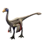 Ornithomimus