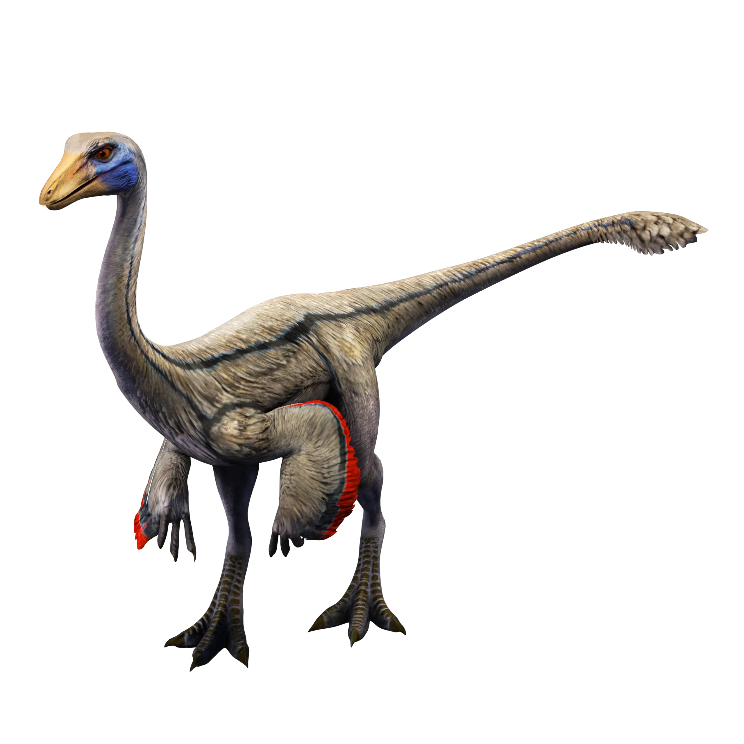 Ornithomimus