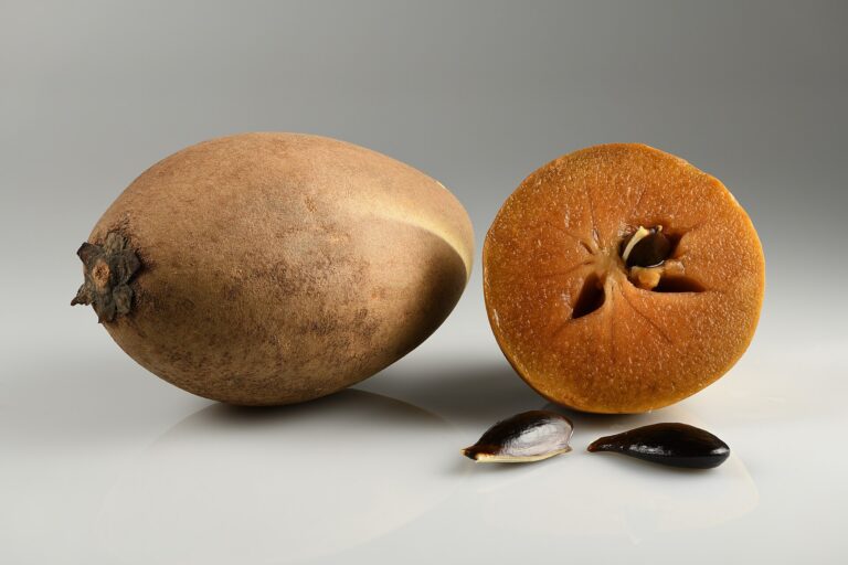 Zapota