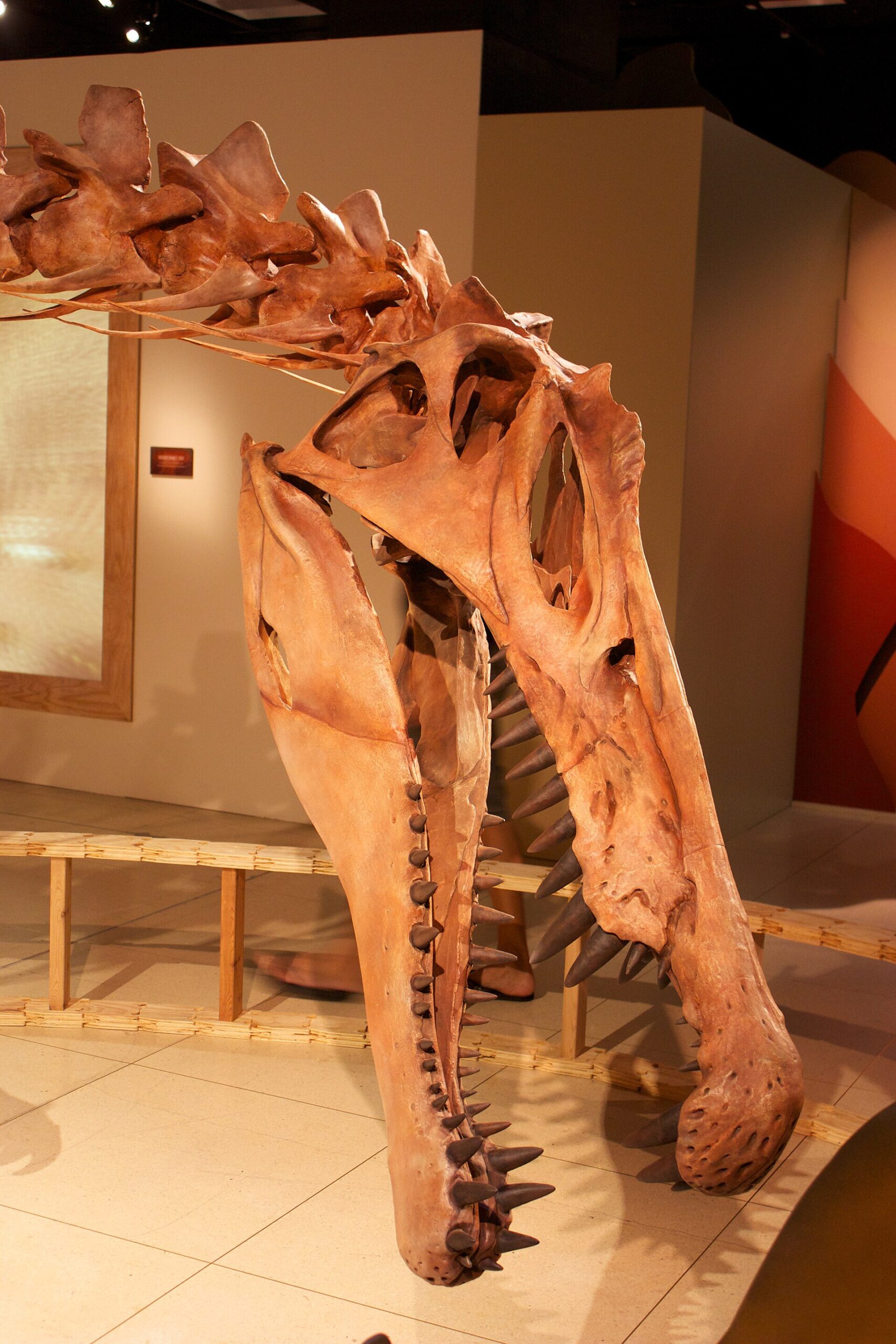 Spinosaurus