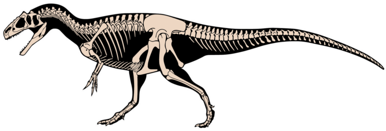 Allosaurus (Allosaurus)