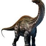 Apatosaurus dinosaur 3D illustration