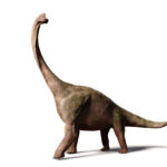 huge dinosaur, 3d illustration isolated on white background