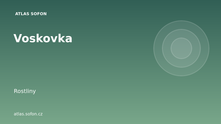 Voskovka