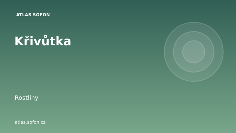 Křivůtka