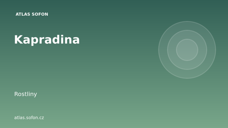 Kapradina