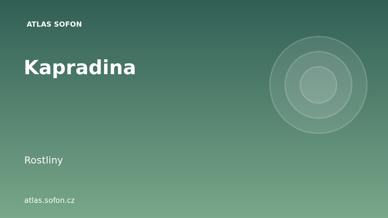 Kapradina