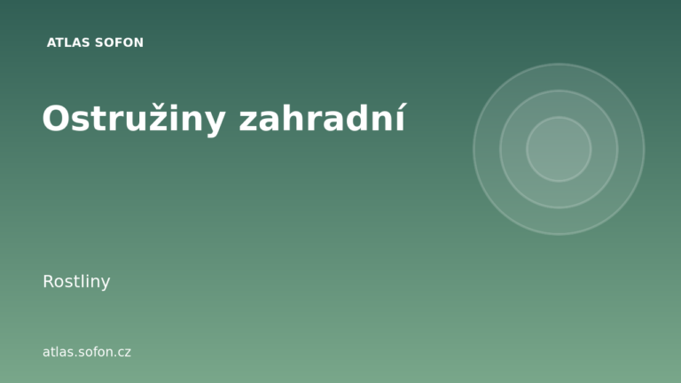 Ostružiny zahradní