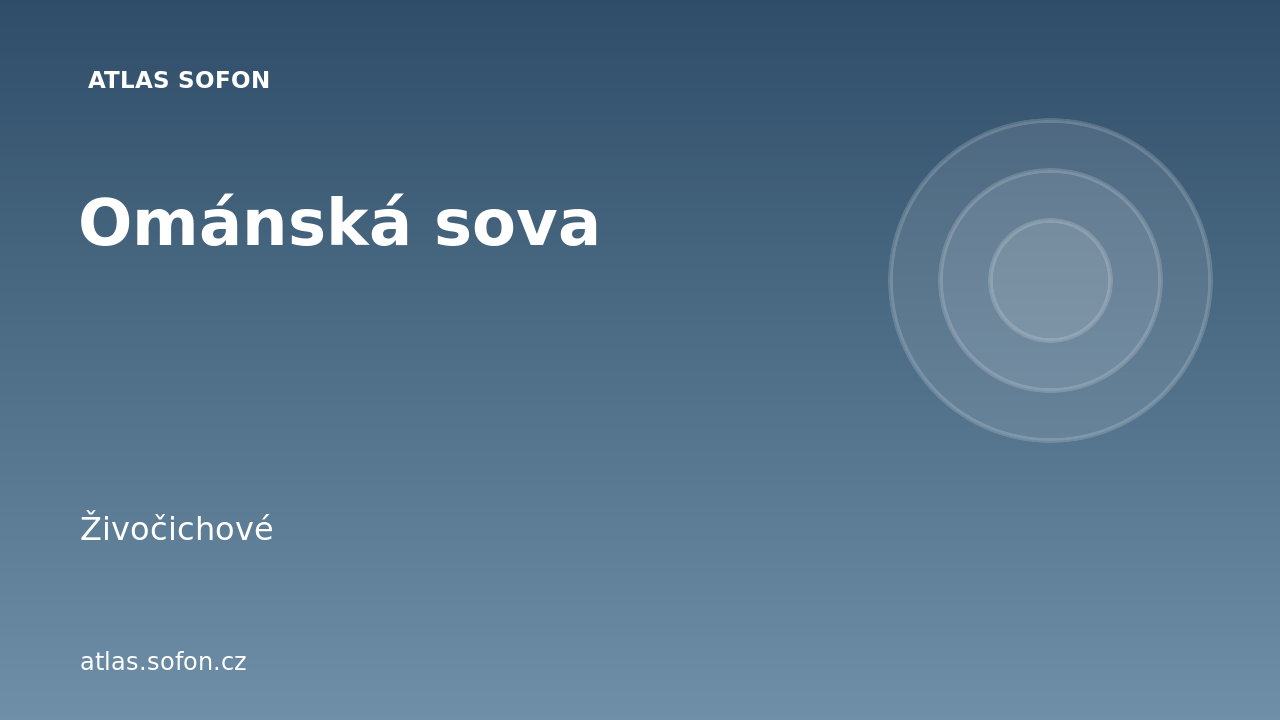 Ománská sova