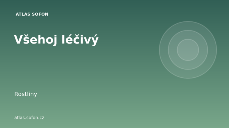 Všehoj léčivý