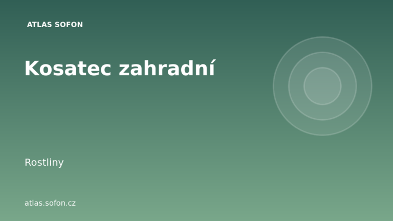 Kosatec zahradní