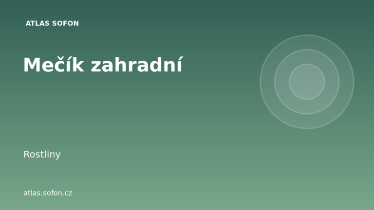 Mečík zahradní