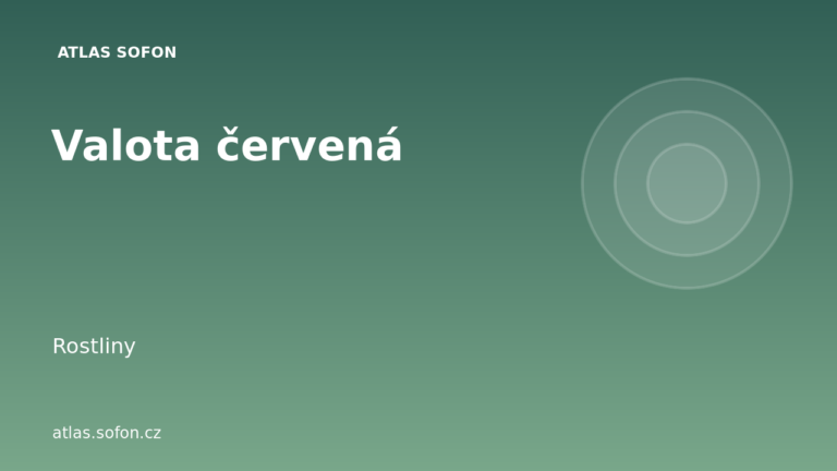 Valota červená