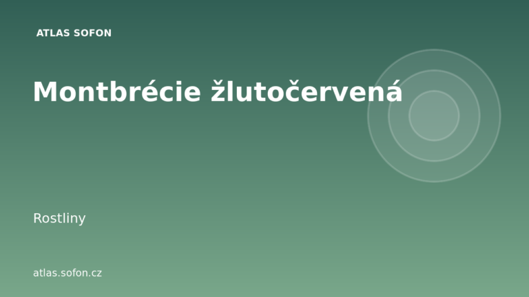 Montbrécie žlutočervená
