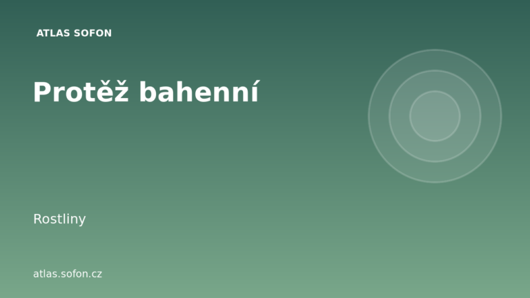 Protěž bahenní