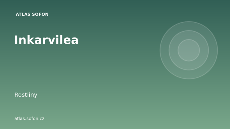 Inkarvilea