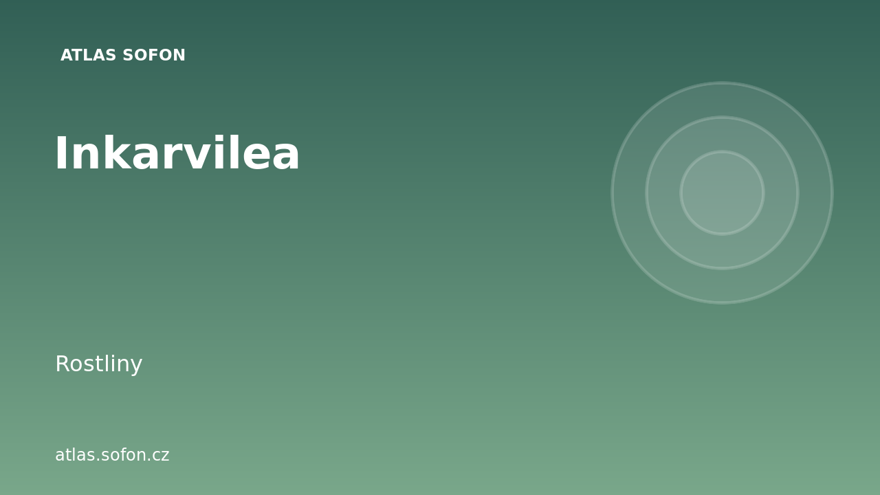 Inkarvilea