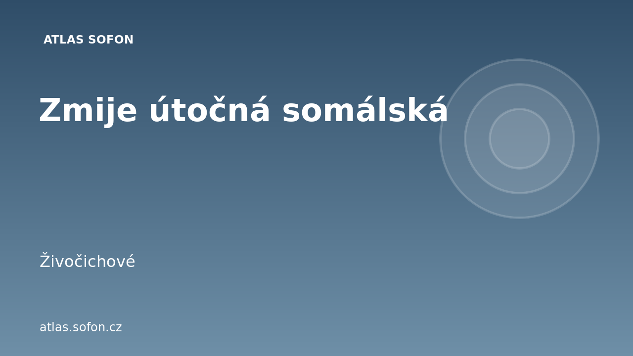 Zmije útočná somálská