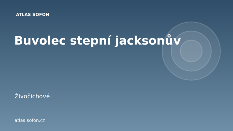 Buvolec stepní jacksonův