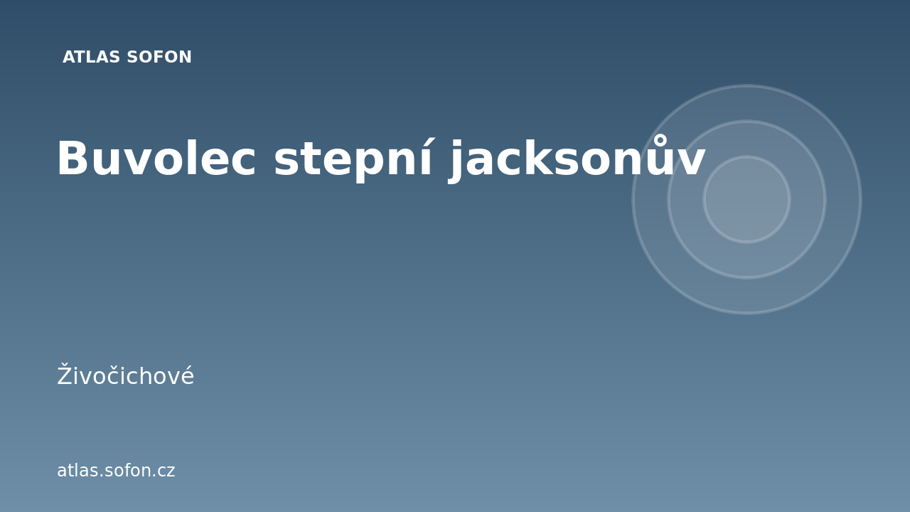 Buvolec stepní jacksonův