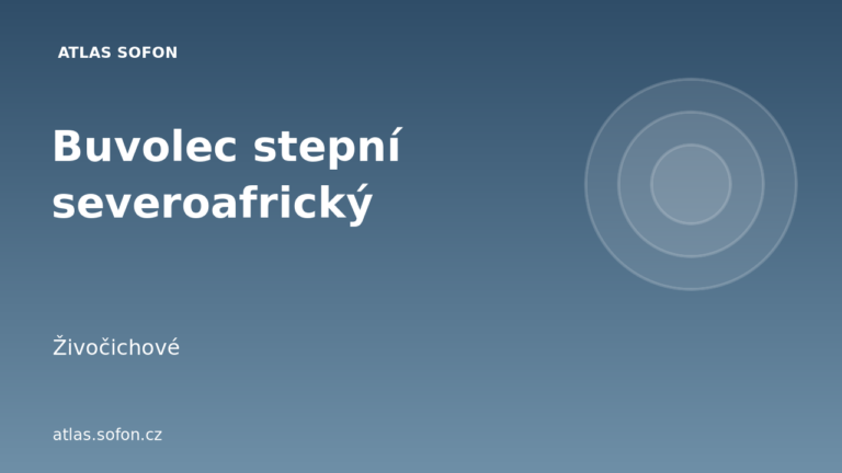 Buvolec stepní severoafrický