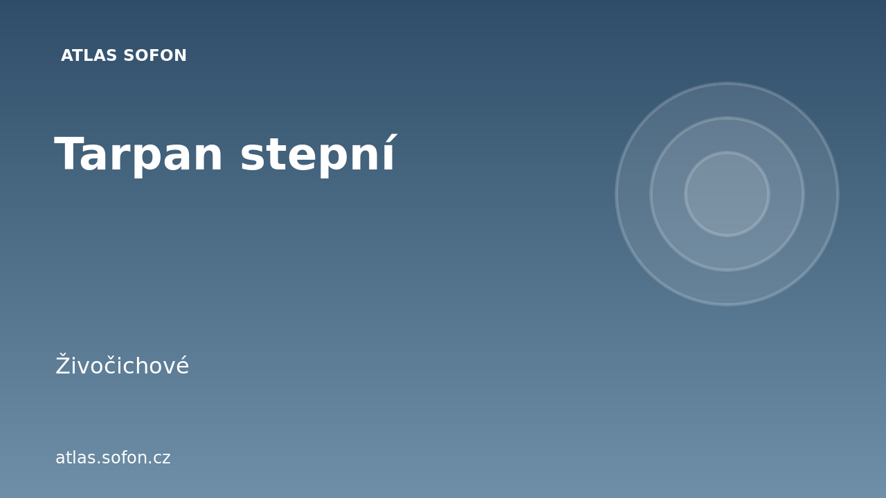 Tarpan stepní