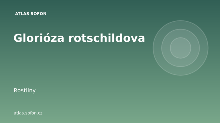 Glorióza rotschildova