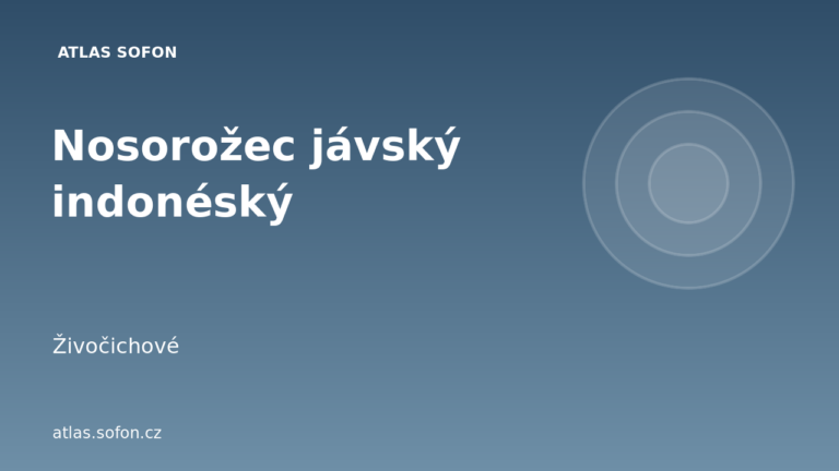 Nosorožec jávský indonéský