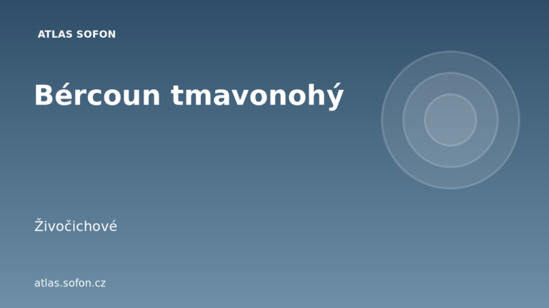 Bércoun tmavonohý