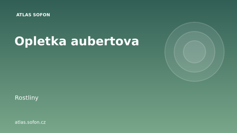 Opletka aubertova