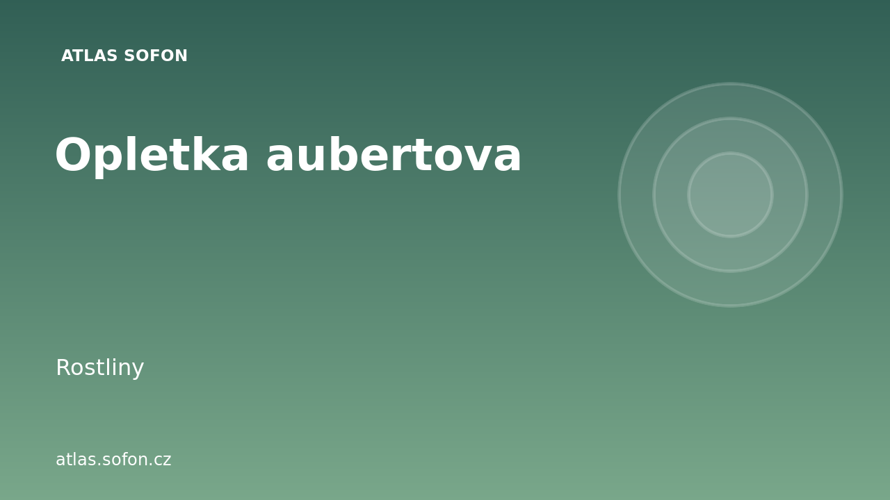 Opletka aubertova