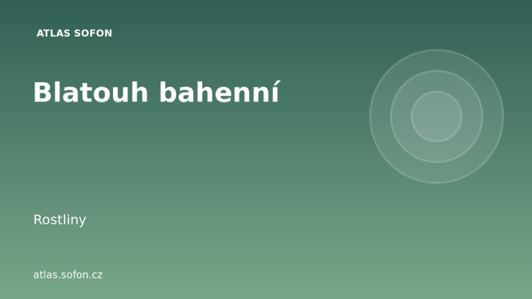Blatouh bahenní
