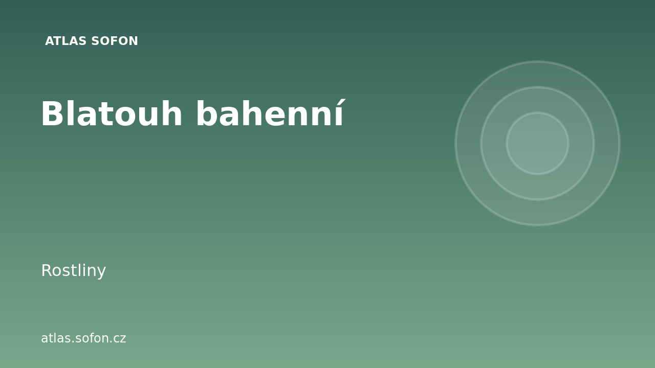 Blatouh bahenní