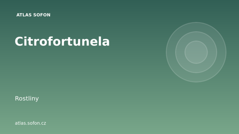 Citrofortunela