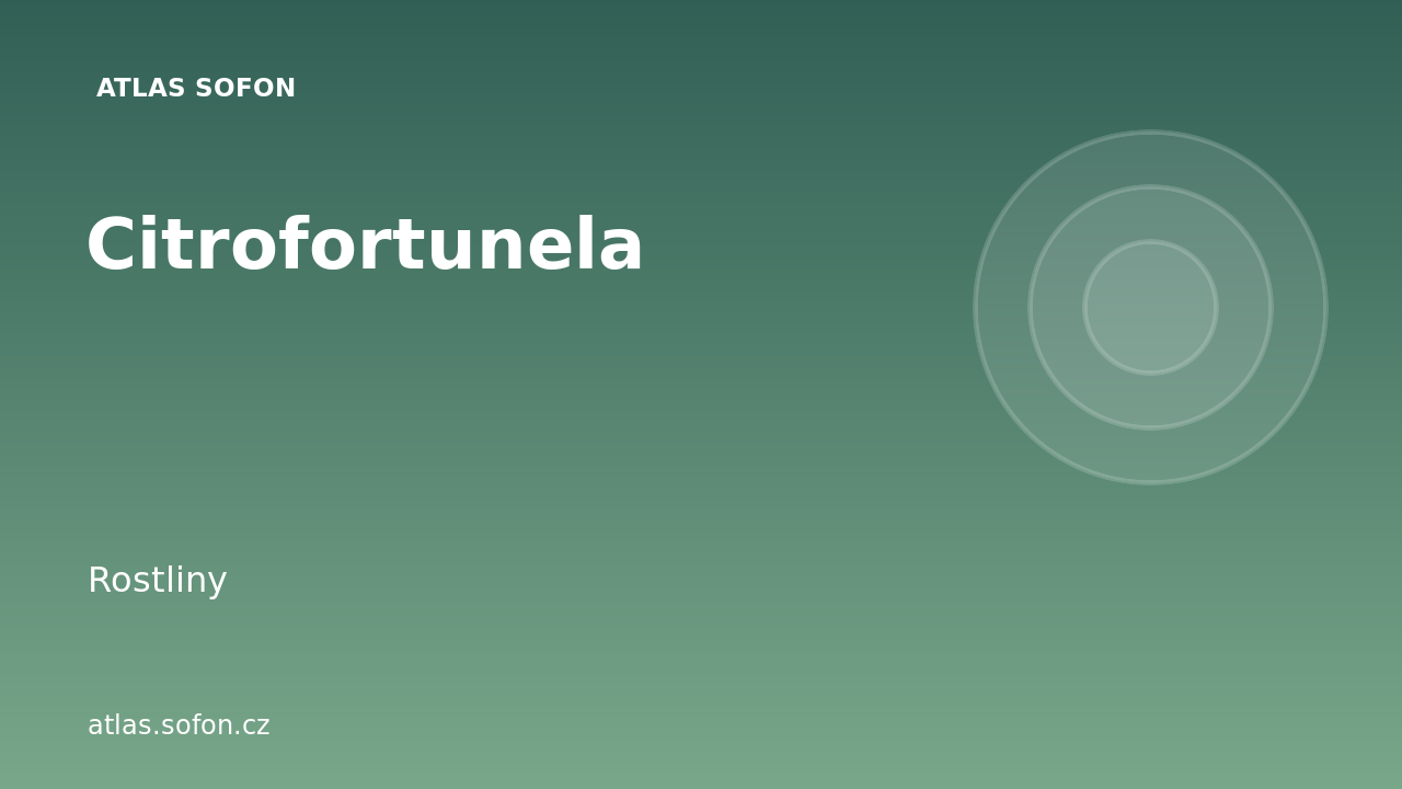 Citrofortunela