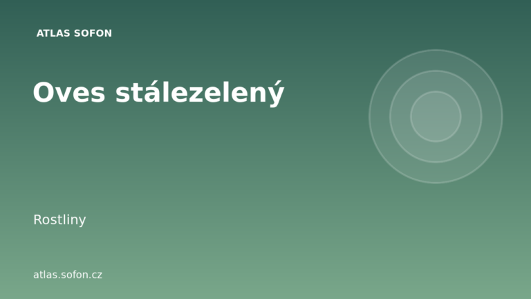 Oves stálezelený