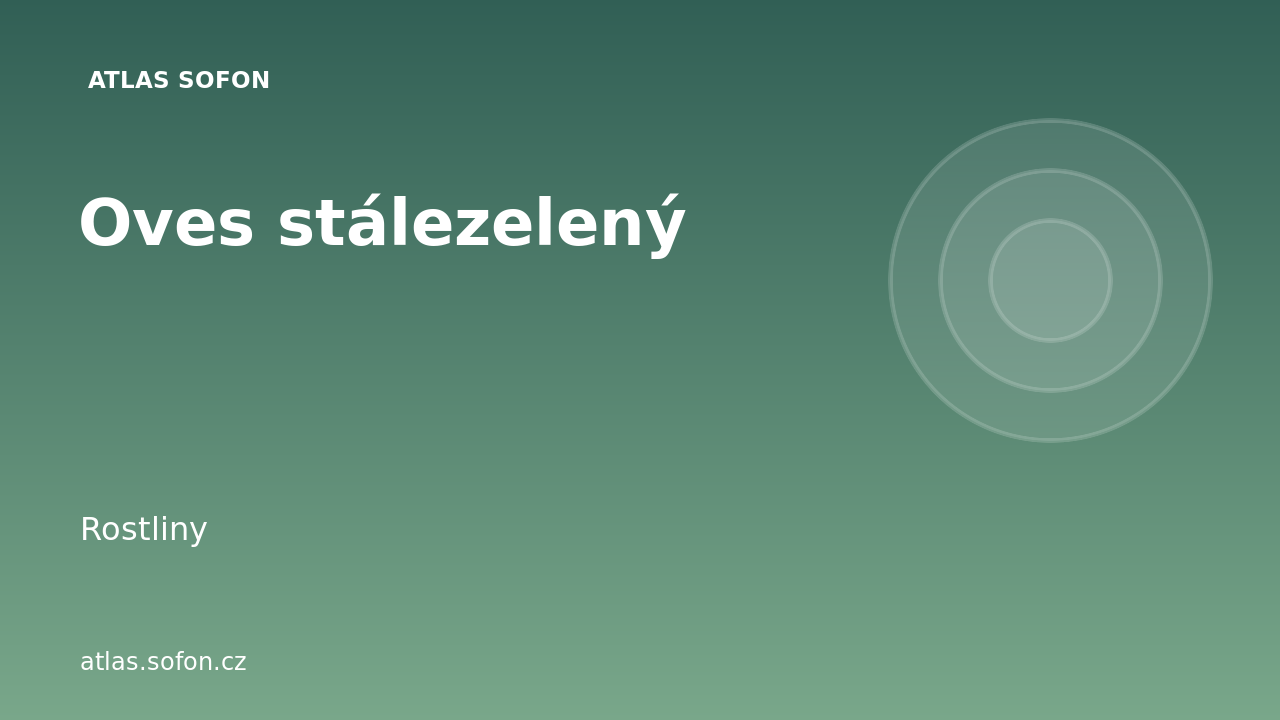 Oves stálezelený