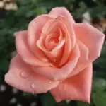 02-027-1