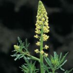 20120620001818-c6eeba53