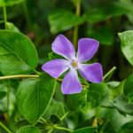 549c27f311155864feed2e5669866903