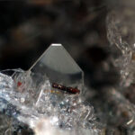 640px-Forsterite_on_Sanidine_-_Ochtendung,_Eifel,_Germany