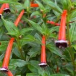 7959b2f836c7b507299add4c1975ff3b06d85f8e