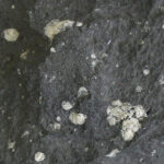 Amygdaloidal_andesite