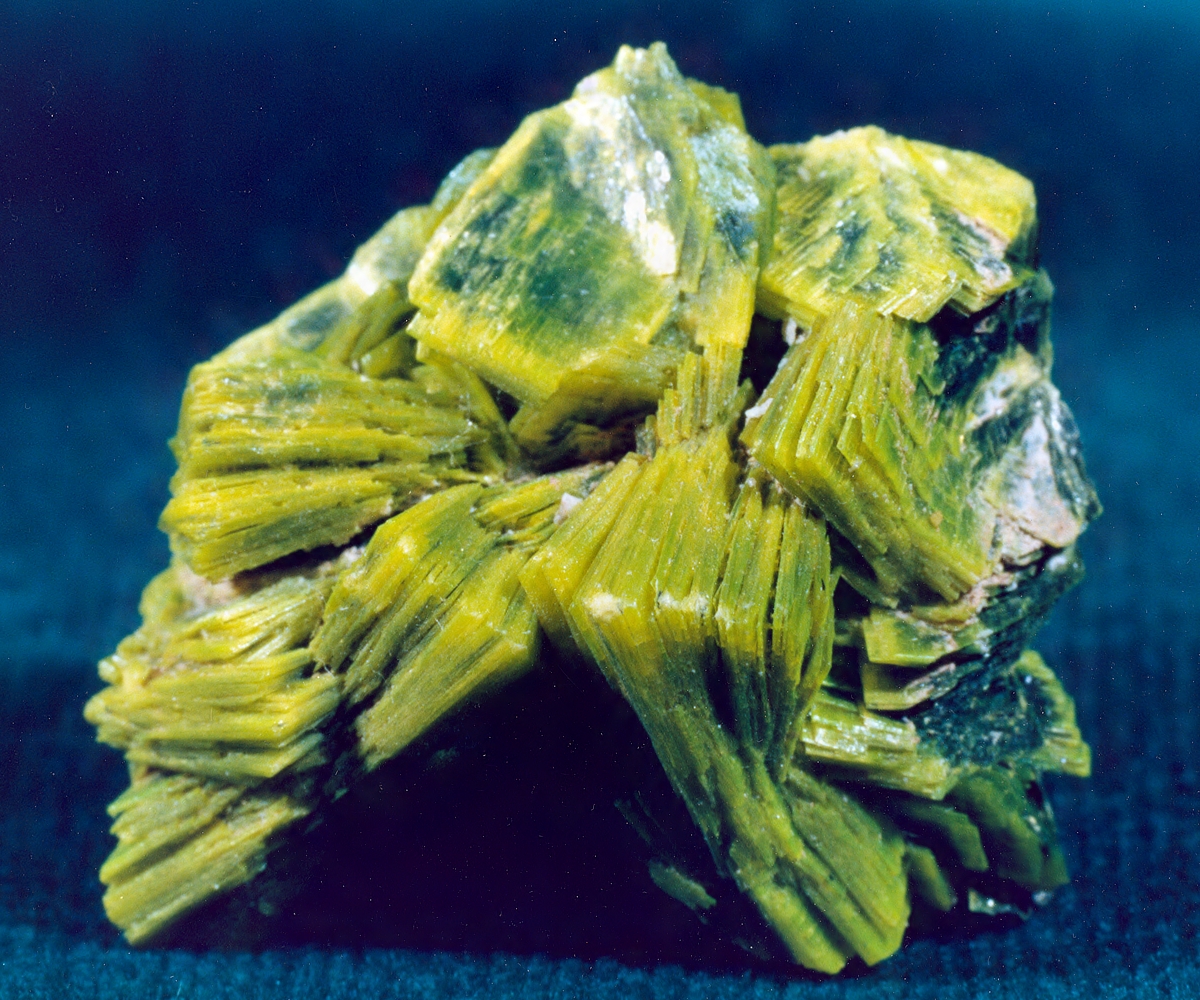 Autunit