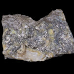 Calaverite