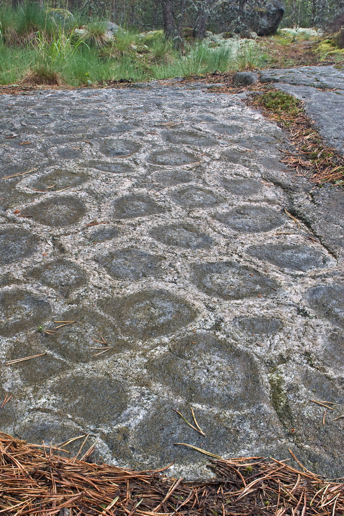 Orbikulární textura